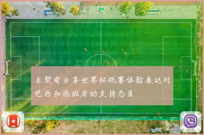 东契奇分享世界杯观赛体验表达对巴西和西班牙的支持态度